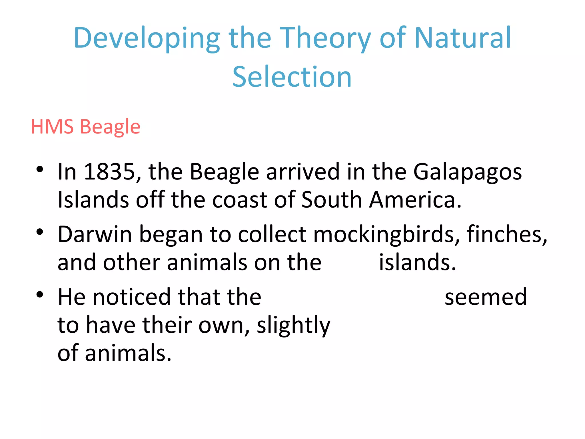 Developing the Theory of Natural
Selection
• In 1835, the Beagle arrived in the Galapagos
Islands off the coast of South America.
• Darwin began to collect mockingbirds, finches,
and other animals on the four islands.
• He noticed that the different islands seemed
to have their own, slightly different varieties
of animals.
HMS Beagle
 
