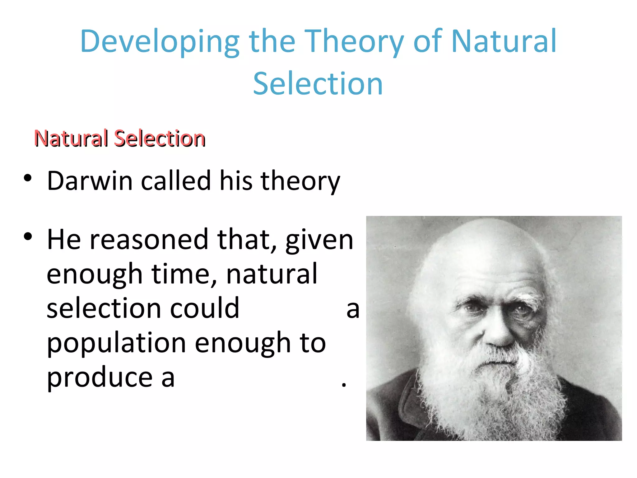 Developing the Theory of Natural
Selection
• Darwin called his theory Natural Selection
Natural SelectionNatural Selection
• He reasoned that, given
enough time, natural
selection could modify a
population enough to
produce a new species.
 