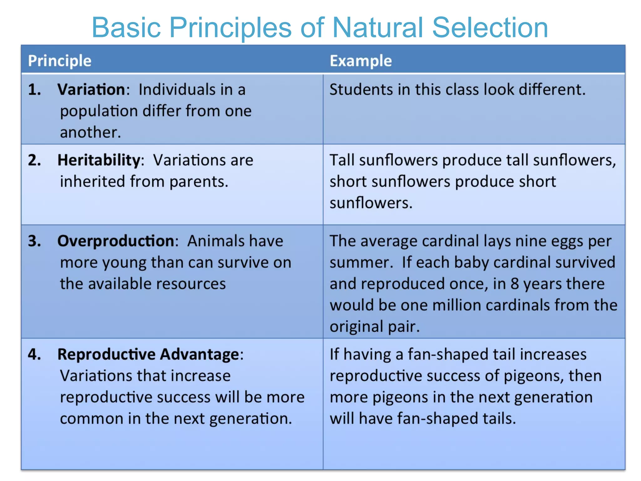 Basic Principles of Natural Selection
 