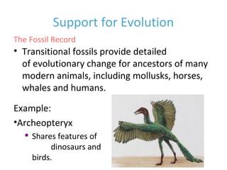 Chapter 15 Evolution - All Sections 15.1 - 15.3 | PPT