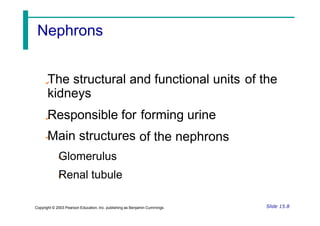 The structural and functional units
kidneys
of the
Responsible for
Main structures
Glomerulus
Renal tubule
forming urine
of the nephrons
Slide 15.8
Copyright © 2003 Pearson Education, Inc. publishing as Benjamin Cummings
Nephrons
 