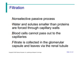 Nonselective passive process
Water and solutes smaller than proteins
are forced through capillary walls
Blood cells cannot pass out to the
capillaries
Filtrate is collected in the glomerular
capsule and leaves via the renal tubule
Slide 15.14
Copyright © 2003 Pearson Education, Inc. publishing as Benjamin Cummings
Filtration
 