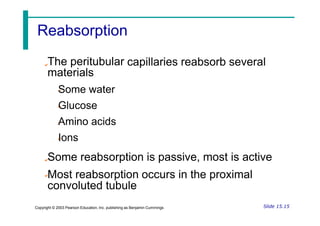 The peritubular
materials
Some water
Glucose
Amino acids
Ions
capillaries reabsorb several
Some reabsorption is passive, most is active
Most reabsorption occurs in the proximal
convoluted tubule
Slide 15.15
Copyright © 2003 Pearson Education, Inc. publishing as Benjamin Cummings
Reabsorption
 