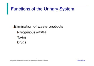 Elimination of waste products
Nitrogenous wastes
Toxins
Drugs
Slide 15.1a
Copyright © 2003 Pearson Education, Inc. publishing as Benjamin Cummings
Functions of the Urinary System
 