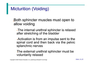 Both sphincter muscles must open to
allow voiding
The internal urethral sphincter is relaxed
after stretching of the bladder
Activation is from an impulse sent to the
spinal cord and then back via the pelvic
splanchnic nerves
The external urethral sphincter must be
voluntarily relaxed
Slide 15.25
Copyright © 2003 Pearson Education, Inc. publishing as Benjamin Cummings
Micturition (Voiding)
 