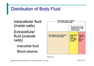 Intracellular fluid
(inside cells)
Extracellular
fluid (outside
cells)
Interstitial fluid
Blood plasma
Figure 15.7
Slide 15.27
Copyright © 2003 Pearson Education, Inc. publishing as Benjamin Cummings
Distribution of Body Fluid
 
