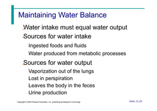 Water intake must equal water output
Sources for water intake
Ingested foods and fluids
Water produced from metabolic processes
Sources for water output
Vaporization out of the lungs
Lost in perspiration
Leaves the body in the feces
Urine production
Slide 15.29
Copyright © 2003 Pearson Education, Inc. publishing as Benjamin Cummings
Maintaining Water Balance
 