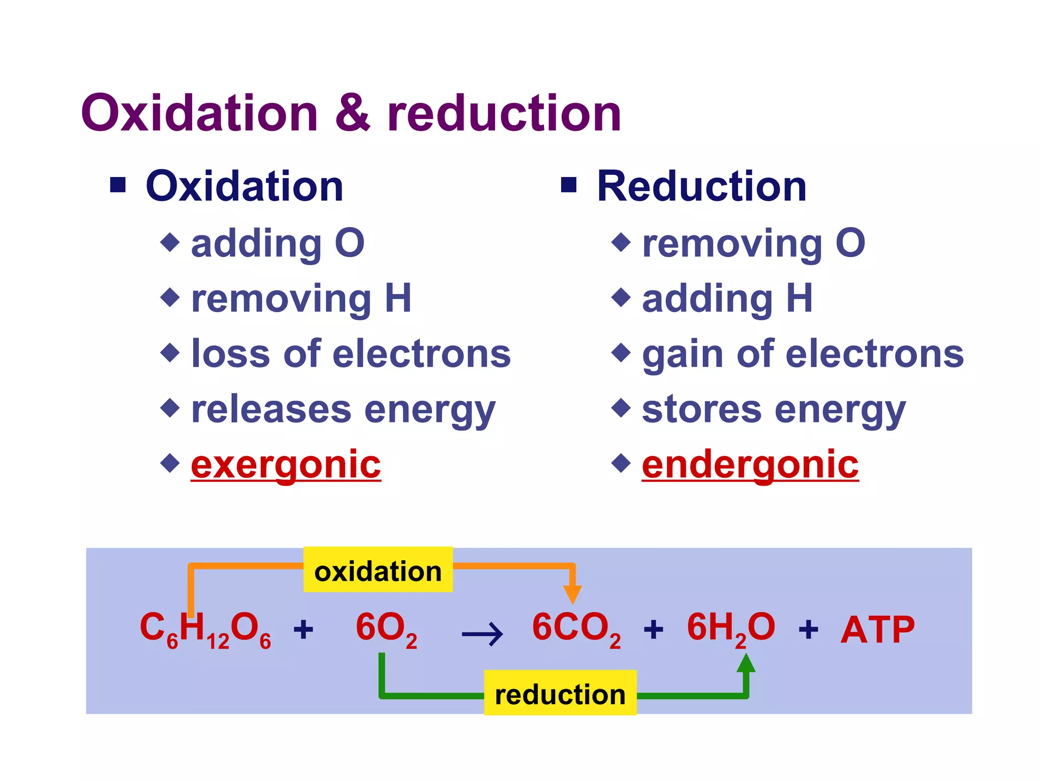 Oxidation & reduction Oxidation adding O removing H  loss of electrons releases energy exergonic Reduction removing O adding H  gain of electrons stores energy endergonic C 6 H 12 O 6 6O 2 6CO 2 6H 2 O ATP  + + + oxidation reduction 