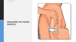MEASURING THE TRICEPS
SKINFOLD
 