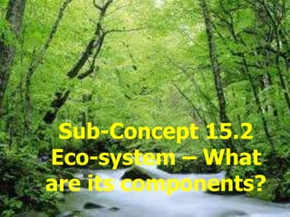 Sub-Concept 15.2
Eco-system – What
are its components?
 