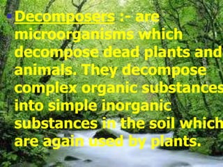 Decomposers :- are
microorganisms which
decompose dead plants and
animals. They decompose
complex organic substances
into simple inorganic
substances in the soil which
are again used by plants.
 
