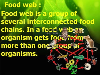 Food web :
Food web is a group of
several interconnected food
chains. In a food web an
organism gets food from
more than one group of
organisms.
 