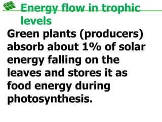 Energy flow in trophic
levels
Green plants (producers)
absorb about 1% of solar
energy falling on the
leaves and stores it as
food energy during
photosynthesis.
 