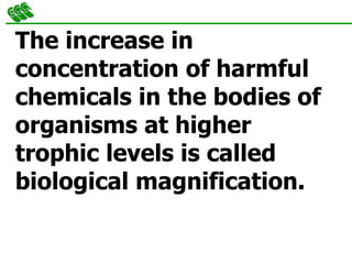 The increase in
concentration of harmful
chemicals in the bodies of
organisms at higher
trophic levels is called
biological magnification.
 