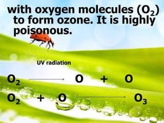 with oxygen molecules (O2)
to form ozone. It is highly
poisonous.
UV radiation
O2 O + O
O2 + O O3
 