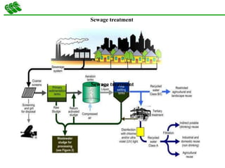 Sewage treatment
Sewage treatment
 