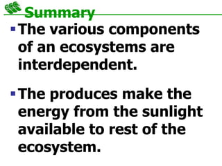 Summary
The various components
of an ecosystems are
interdependent.
The produces make the
energy from the sunlight
available to rest of the
ecosystem.
 