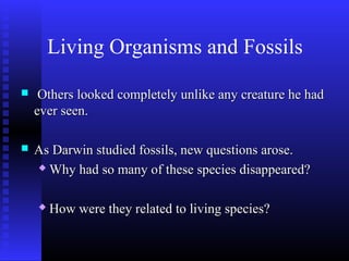 Living Organisms and Fossils
  
 Others looked completely unlike any creature he hadOthers looked completely unlike any creature he had
ever seen.ever seen.
 As Darwin studied fossils, new questions arose.As Darwin studied fossils, new questions arose.
 Why had so many of these species disappeared?Why had so many of these species disappeared?
 How were they related to living species?How were they related to living species?
 