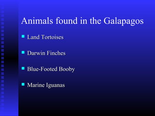 Animals found in the Galapagos
 Land TortoisesLand Tortoises
 Darwin FinchesDarwin Finches
 Blue-Footed BoobyBlue-Footed Booby
 Marine IguanasMarine Iguanas
 