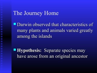 The Journey Home
 Darwin observed that characteristics ofDarwin observed that characteristics of
many plants and animals varied greatlymany plants and animals varied greatly
among the islandsamong the islands
 Hypothesis:Hypothesis: Separate species maySeparate species may
have arose from an original ancestorhave arose from an original ancestor
 