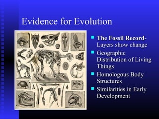 Evidence for Evolution
 The Fossil RecordThe Fossil Record--
Layers show changeLayers show change
 GeographicGeographic
Distribution of LivingDistribution of Living
ThingsThings
 Homologous BodyHomologous Body
StructuresStructures
 Similarities in EarlySimilarities in Early
DevelopmentDevelopment
 