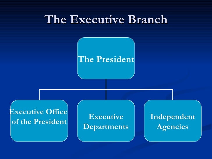 Chapter 15 Section 3 The Executive Departments