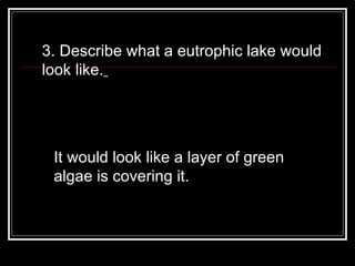 3. Describe what a eutrophic lake would look like.   It would look like a layer of green algae is covering it. 