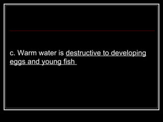 c. Warm water is  destructive to developing eggs and young fish  