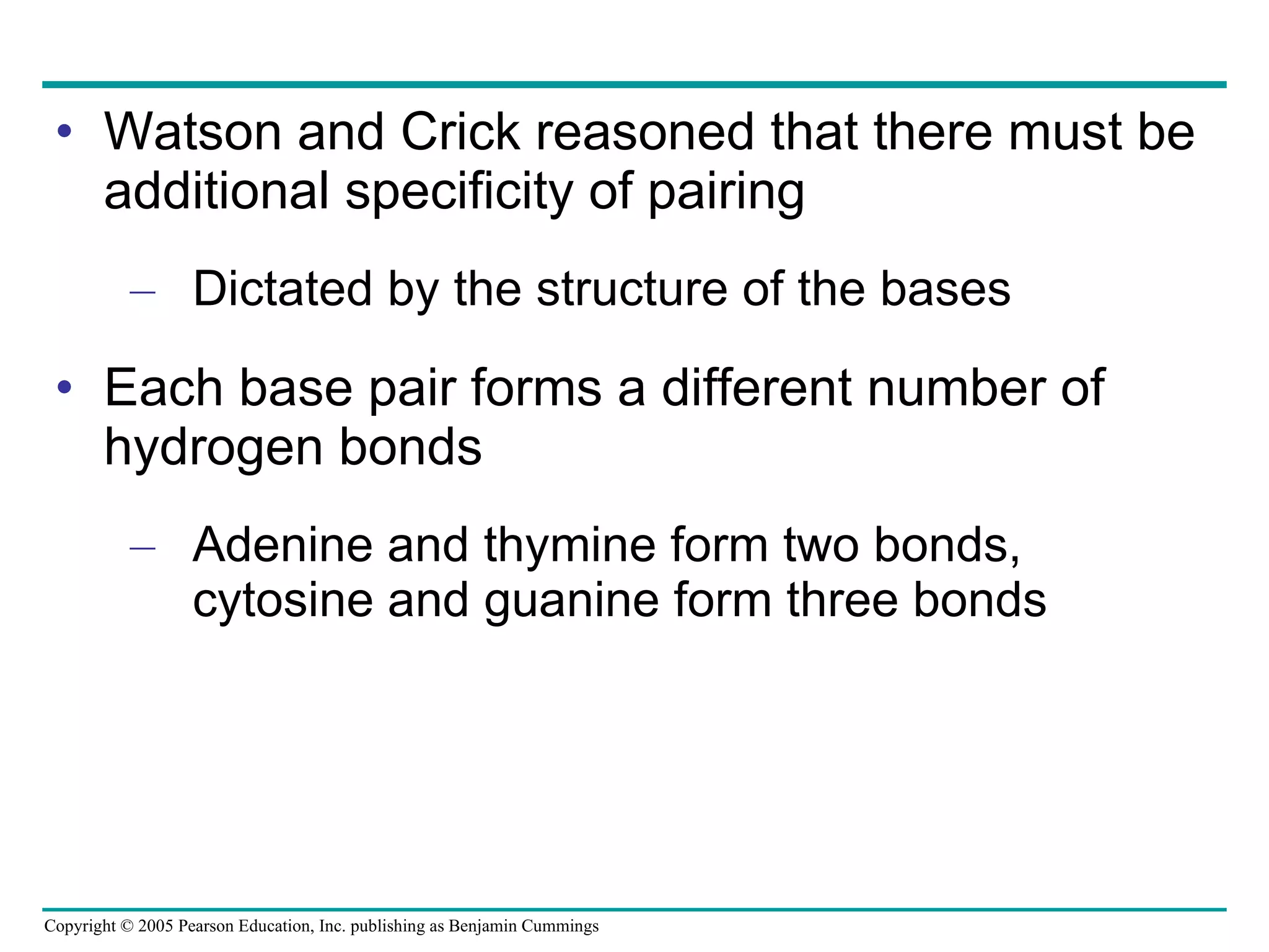 Watson and Crick reasoned that there must be additional specificity of pairing Dictated by the structure of the bases Each base pair forms a different number of hydrogen bonds Adenine and thymine form two bonds, cytosine and guanine form three bonds 