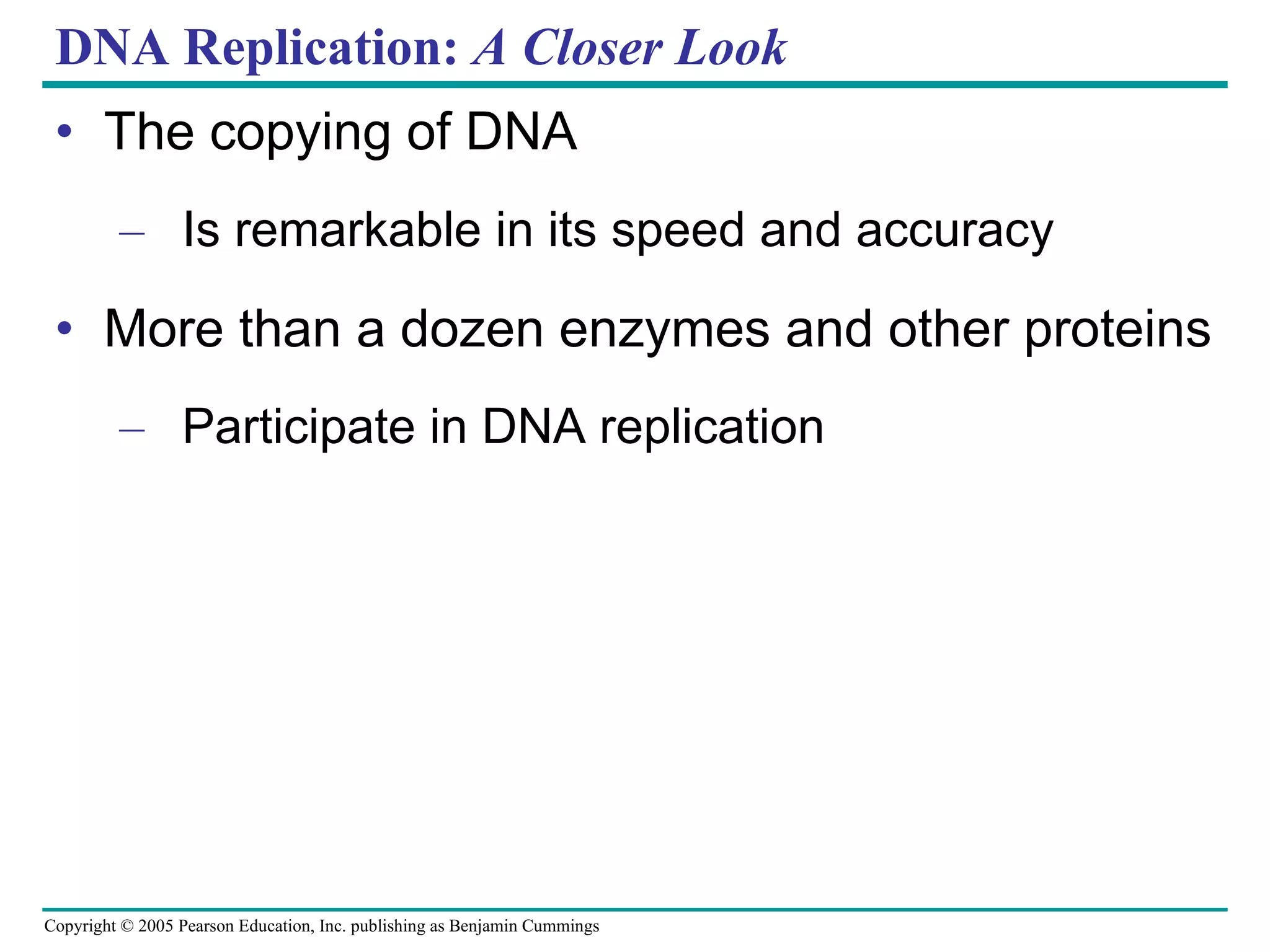 DNA Replication:  A Closer Look The copying of DNA Is remarkable in its speed and accuracy More than a dozen enzymes and other proteins Participate in DNA replication 