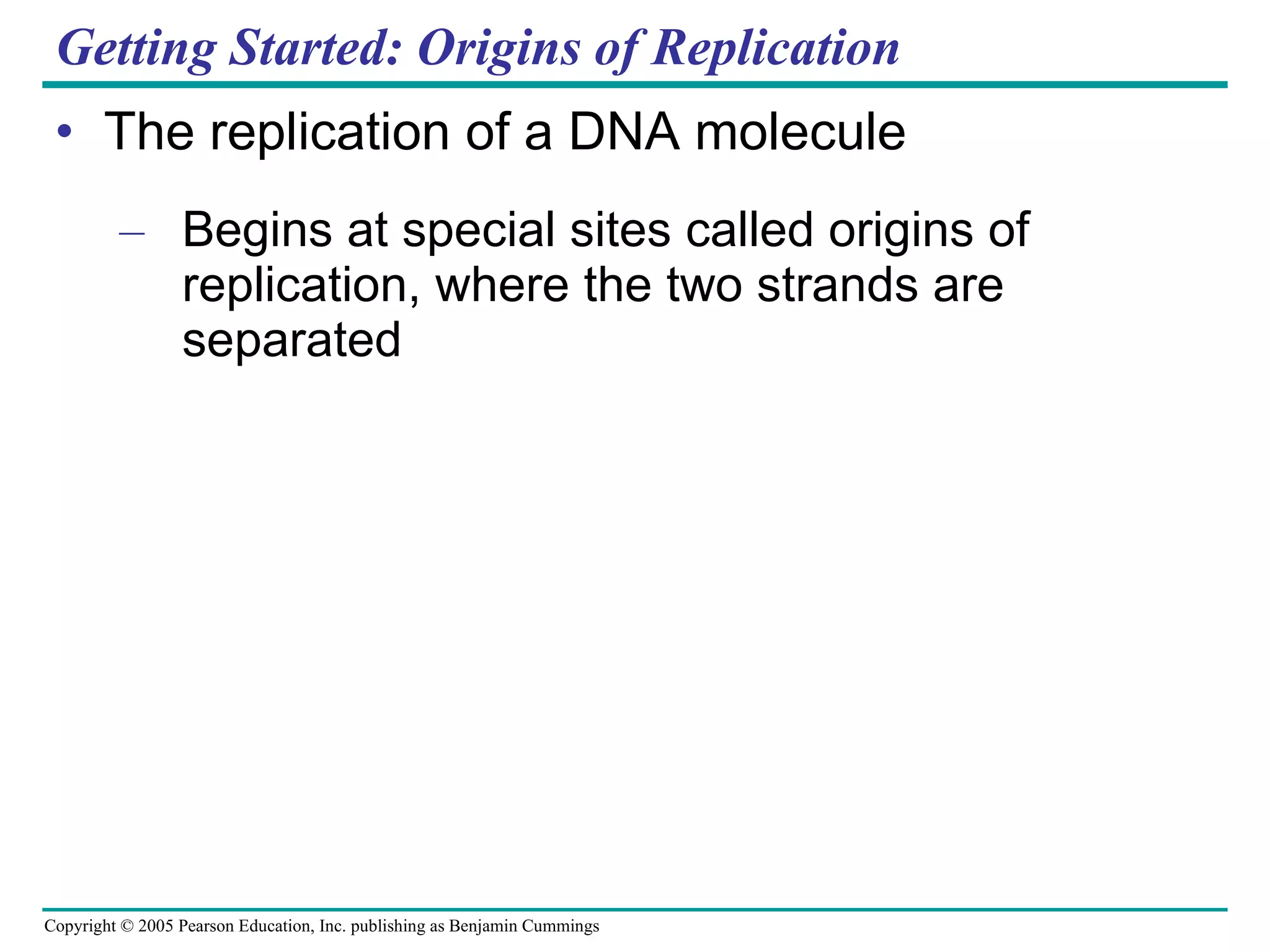 Getting Started: Origins of Replication The replication of a DNA molecule Begins at special sites called origins of replication, where the two strands are separated 