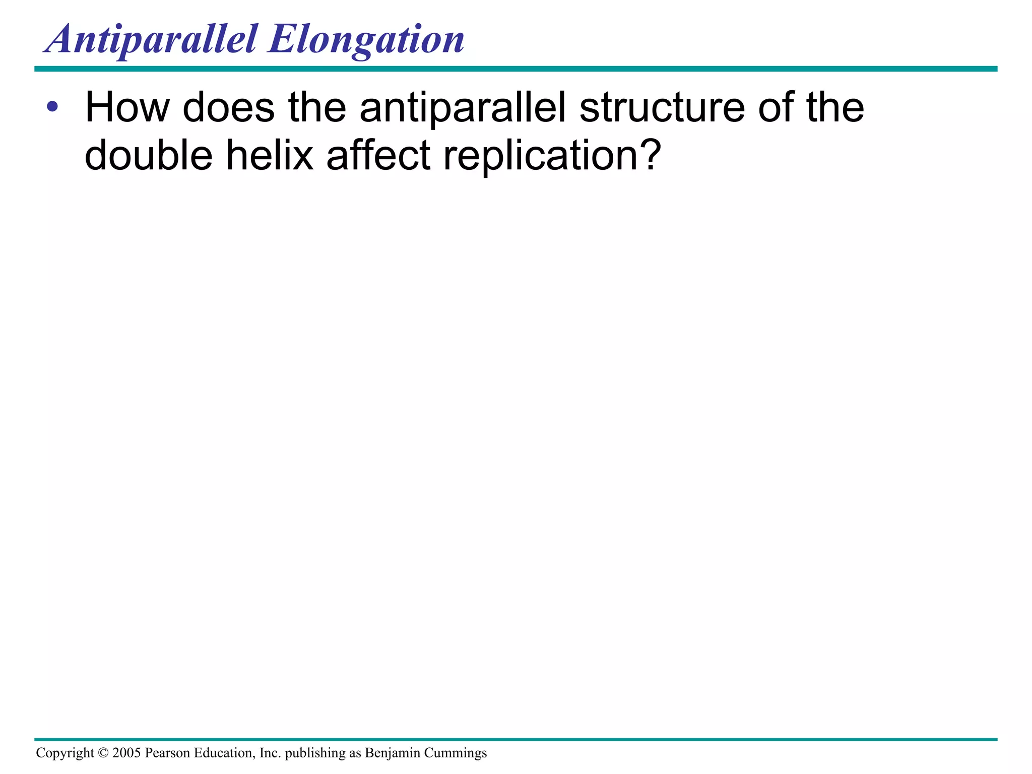 Antiparallel Elongation How does the antiparallel structure of the double helix affect replication? 