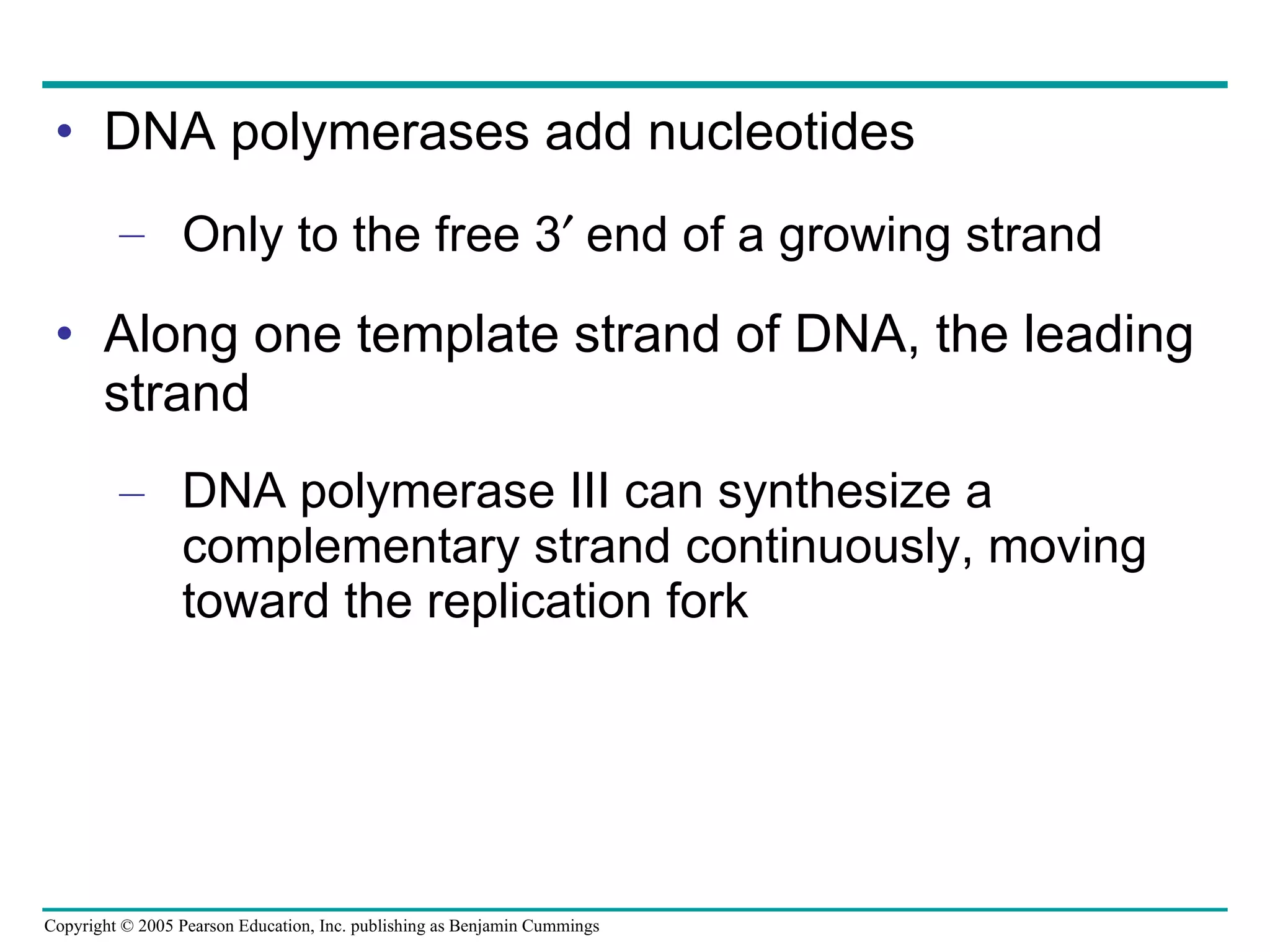 DNA polymerases add nucleotides Only to the free 3  end of a growing strand Along one template strand of DNA, the leading strand DNA polymerase III can synthesize a complementary strand continuously, moving toward the replication fork 