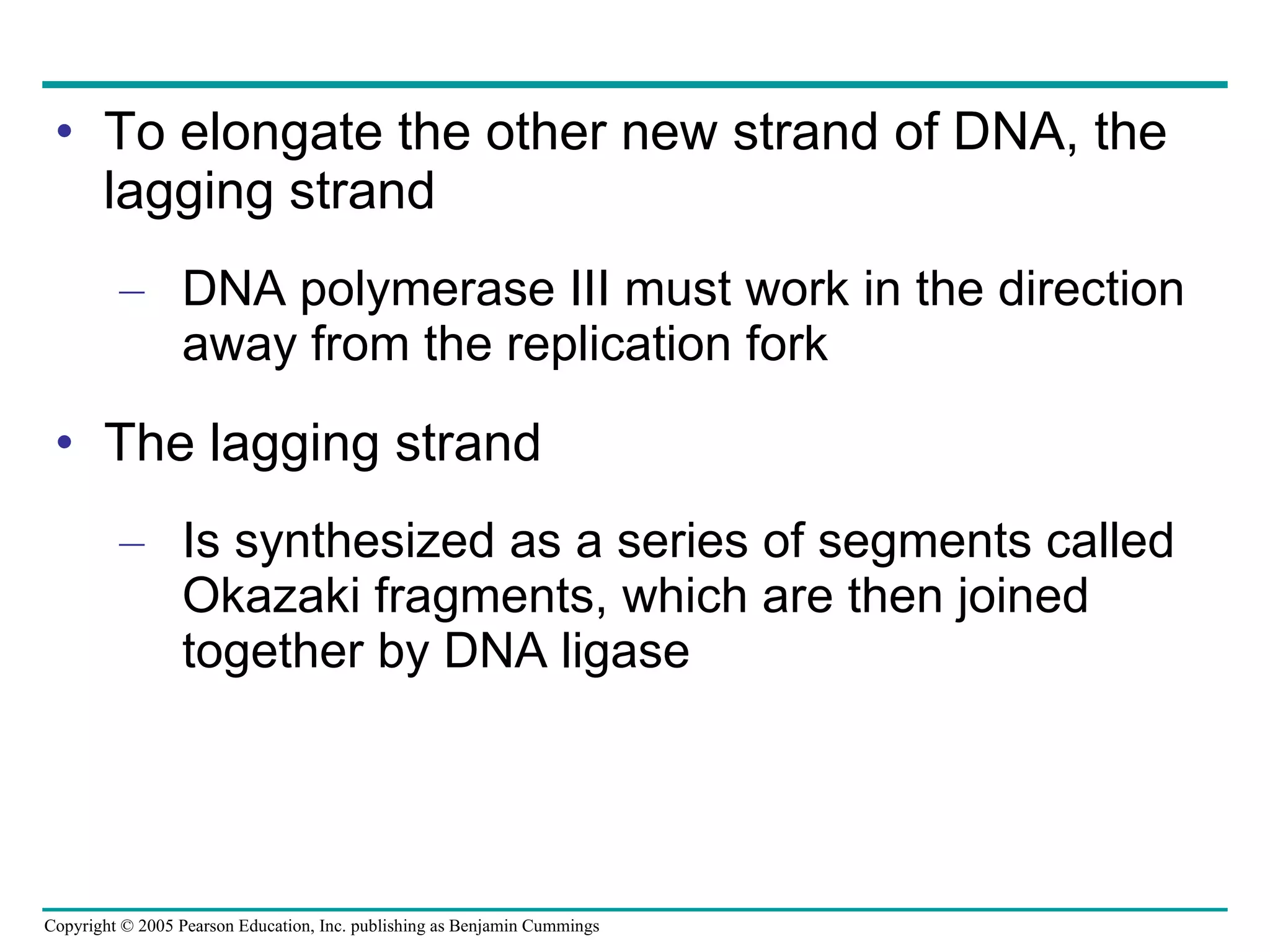 To elongate the other new strand of DNA, the lagging strand DNA polymerase III must work in the direction away from the replication fork The lagging strand Is synthesized as a series of segments called Okazaki fragments, which are then joined together by DNA ligase 
