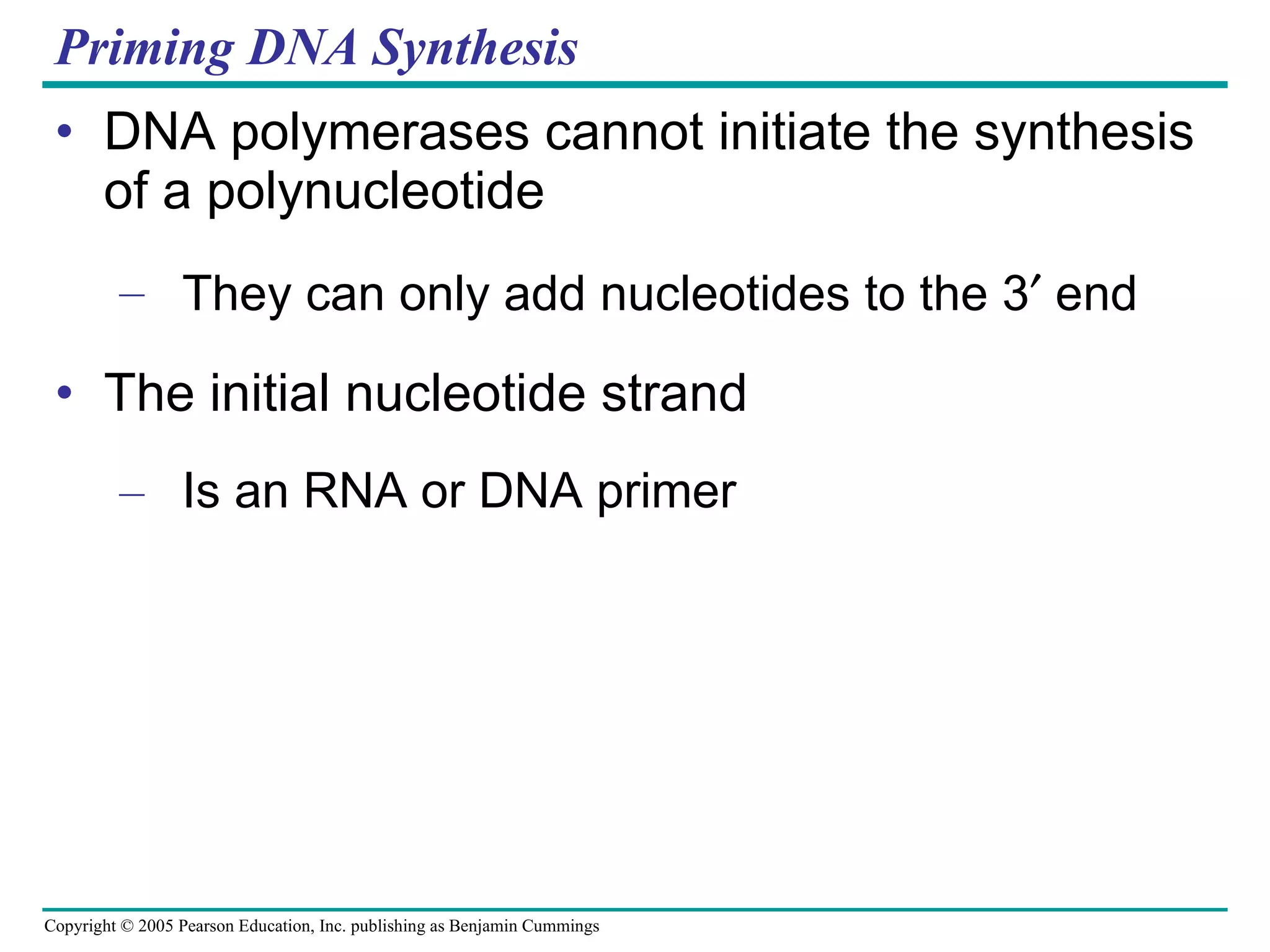 Priming DNA Synthesis DNA polymerases cannot initiate the synthesis of a polynucleotide They can only add nucleotides to the 3   end The initial nucleotide strand Is an RNA or DNA primer 