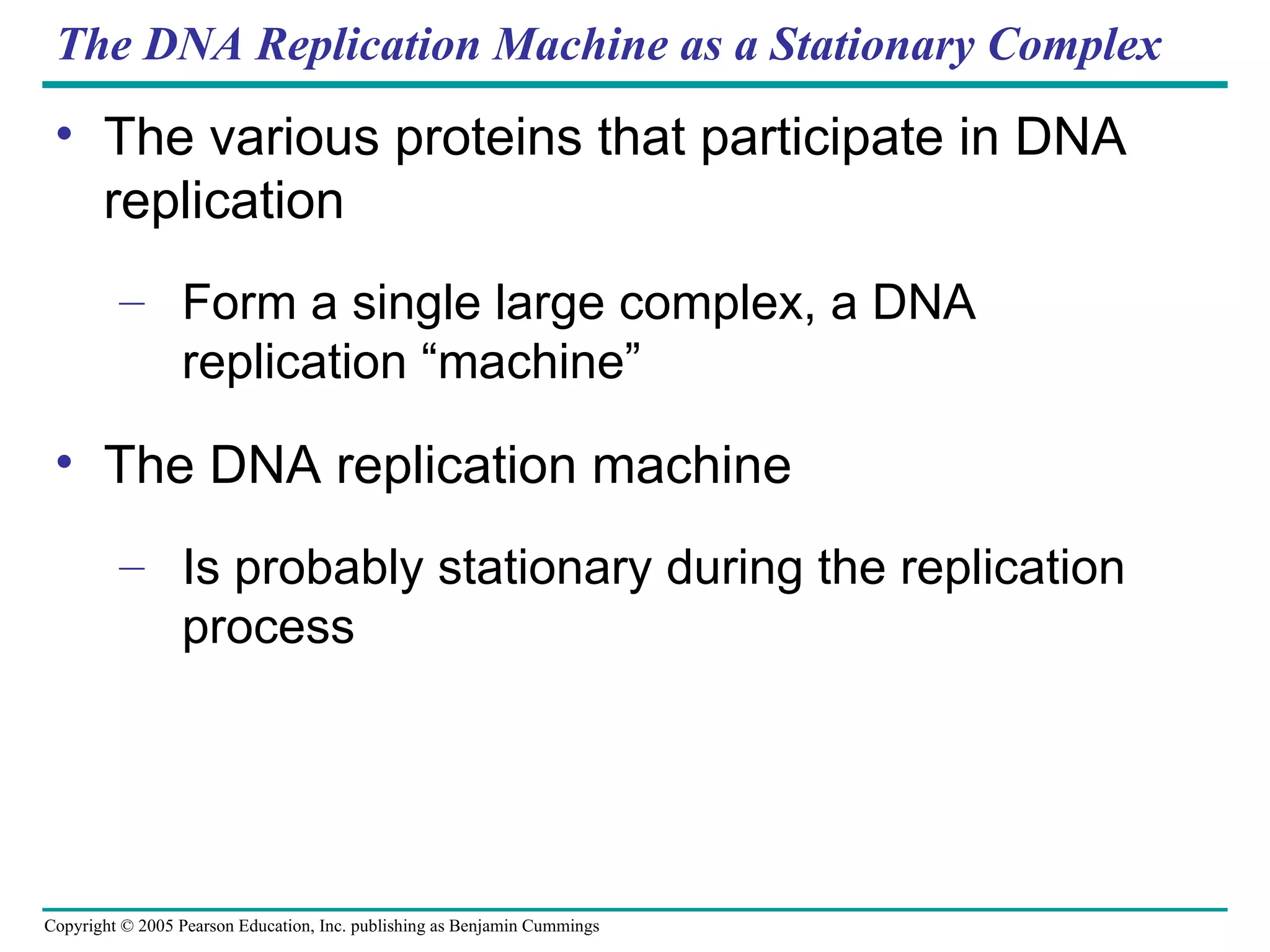 The DNA Replication Machine as a Stationary Complex The various proteins that participate in DNA replication Form a single large complex, a DNA replication “machine” The DNA replication machine Is probably stationary during the replication process 