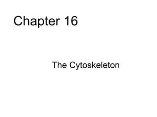Chapter 16


     • The Cytoskeleton
 