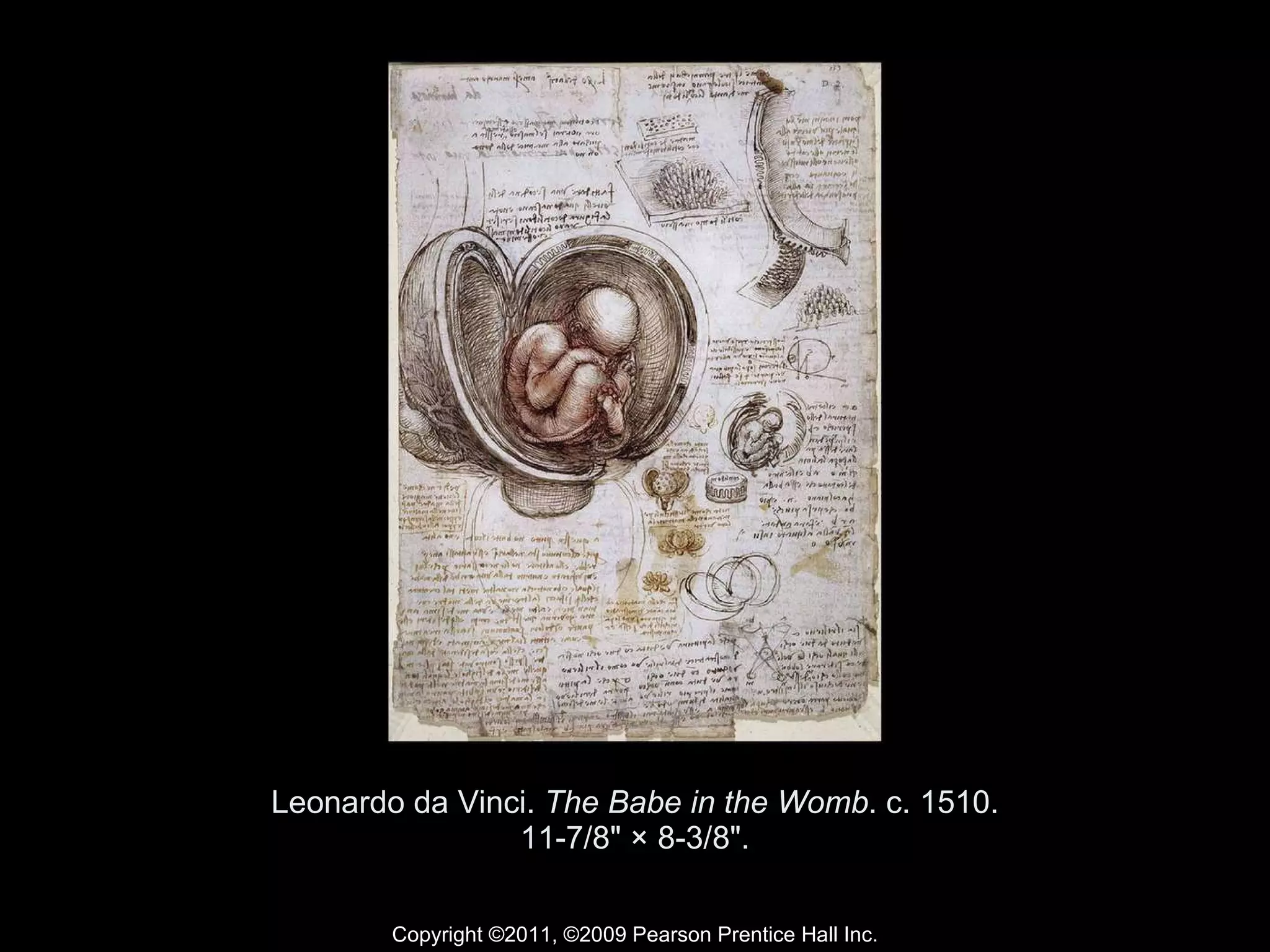 Leonardo da Vinci.  The Babe in the Womb . c. 1510. 11-7/8" × 8-3/8". Copyright ©2011, ©2009 Pearson Prentice Hall Inc. 