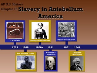 AP U.S. History
Chapter 16

Slavery in Antebellum
America

Cotton Gin

1793

Underground Railroad

1808

End of Slave Trade

1800s

1831
Garrison’s
Liberator

Nat Turner’s Revolt

1831

1847
Douglass’
North Star

 