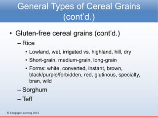 Chapter 16 - Cereal Grains and Pastas | PPTX