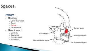 Primary
• Maxillary
o Vestibular/Palatal
o Buccal
o Canine
o Infratemporal
• Mandibular
o Vestibular
o Submental
o Submandibular
o Sublingual
 