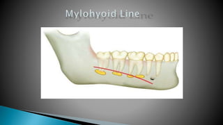 chapter16-161027084810.pptx