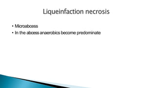 • Microabcess
• In the abcessanaerobics become predominate
 