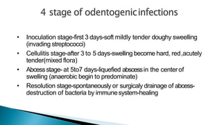 • Inoculation stage-first 3 days-soft mildly tender doughy sweelling
(invading streptococci)
• Cellulitis stage-after 3 to 5 days-swelling become hard, red,acutely
tender(mixed flora)
• Abcessstage- at 5to7 days-liquefied abscessin the centerof
swelling (anaerobic begin to predominate)
• Resolution stage-spontaneously or surgicaly drainage of abcess-
destruction of bacteria by immunesystem-healing
 