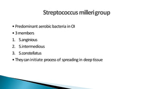 •Predominant aerobicbacteria inOI
•3members
1. S.anginious
2. S.intermedious
3. S.constellatus
•Theycaninitiate processof spreadingin deeptissue
 
