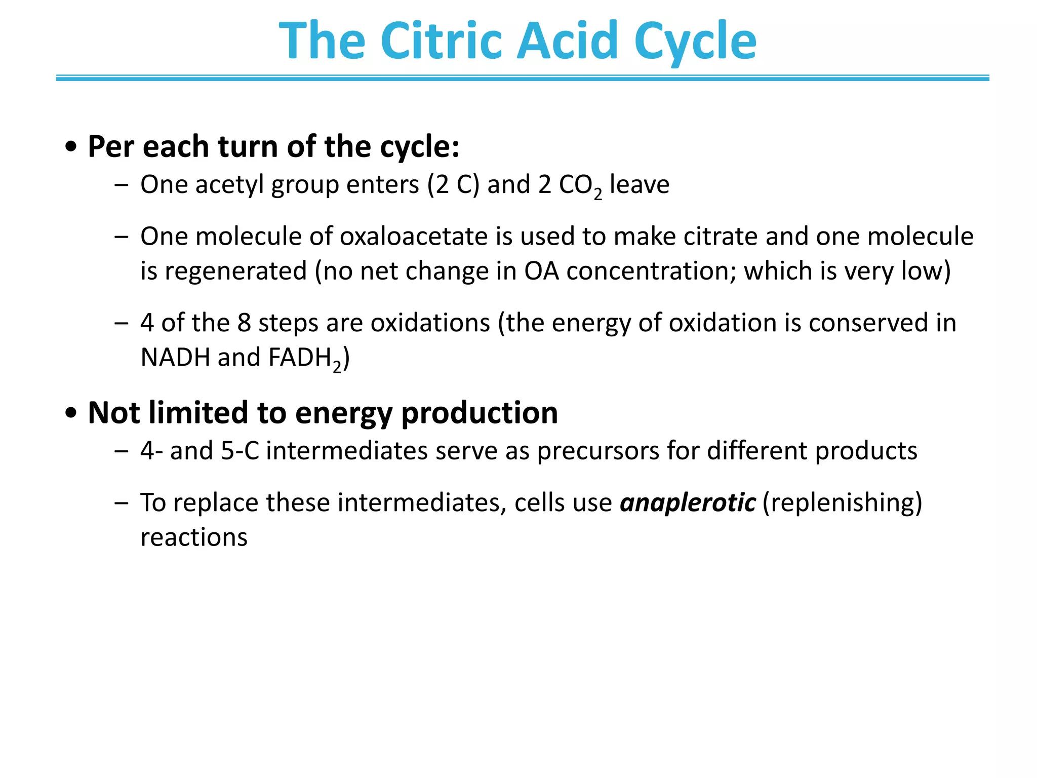 The Citric Acid Cycle
• Per each turn of the cycle:
‒ One acetyl group enters (2 C) and 2 CO2 leave
‒ One molecule of oxaloacetate is used to make citrate and one molecule
is regenerated (no net change in OA concentration; which is very low)
‒ 4 of the 8 steps are oxidations (the energy of oxidation is conserved in
NADH and FADH2)
• Not limited to energy production
‒ 4- and 5-C intermediates serve as precursors for different products
‒ To replace these intermediates, cells use anaplerotic (replenishing)
reactions
 