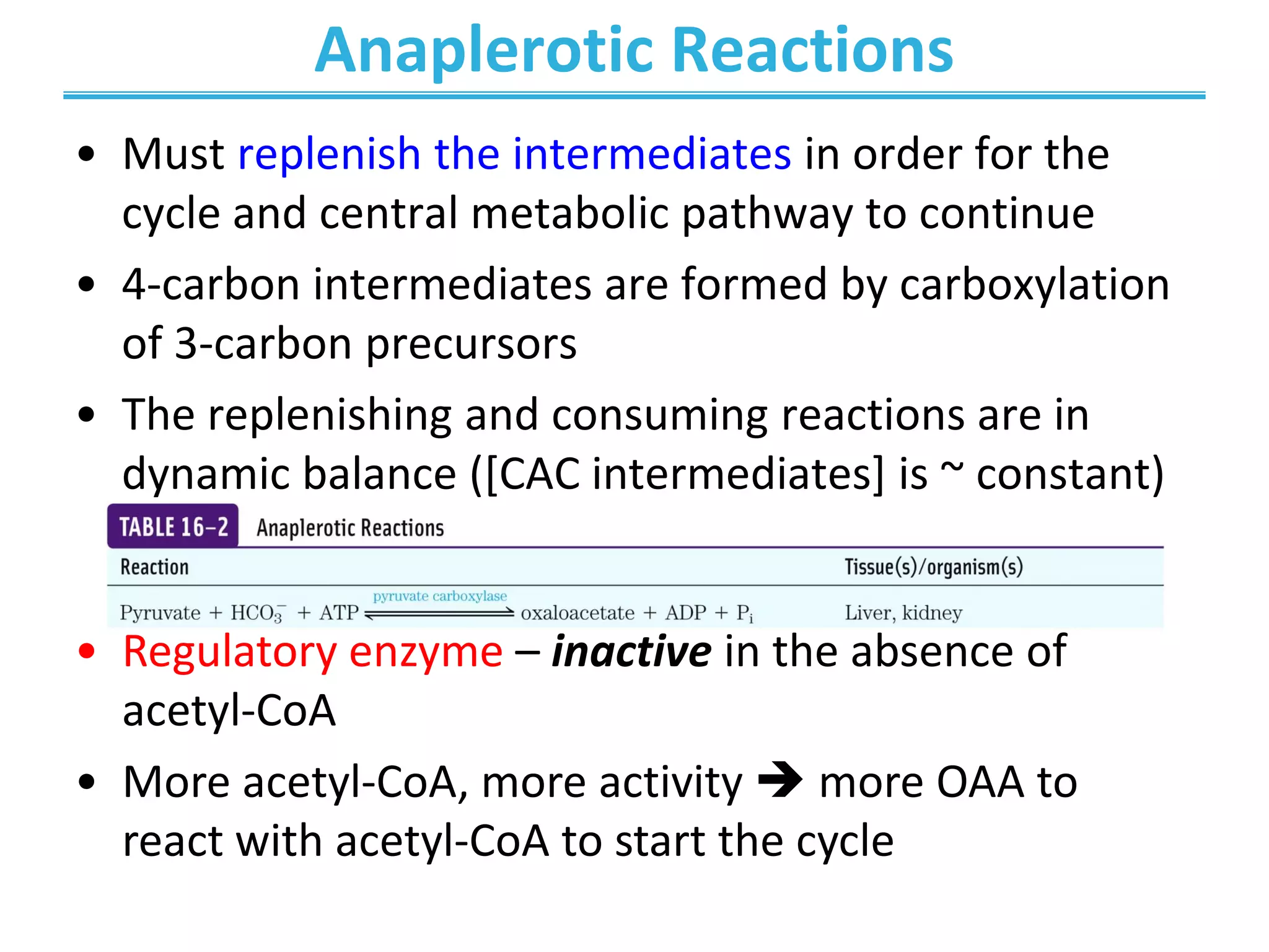 Anaplerotic Reactions
• Must replenish the intermediates in order for the
cycle and central metabolic pathway to continue
• 4-carbon intermediates are formed by carboxylation
of 3-carbon precursors
• The replenishing and consuming reactions are in
dynamic balance ([CAC intermediates] is ~ constant)
• Regulatory enzyme – inactive in the absence of
acetyl-CoA
• More acetyl-CoA, more activity  more OAA to
react with acetyl-CoA to start the cycle
 