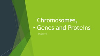 Chromosomes,
Genes and Proteins
 