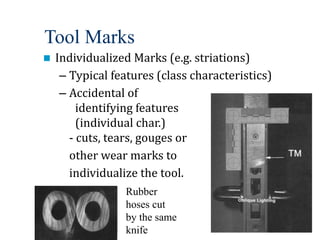Chapter_16_-_FirearmsToolMarks.ppt for Criminal Investigation Class | PPT