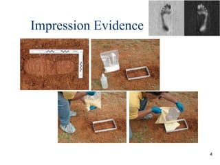 Chapter_16_-_FirearmsToolMarks.ppt for Criminal Investigation Class | PPT